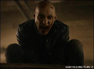  (858x635, 45 k�...)